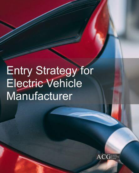 Entry Strategy for Electric Vehicle Manufacturer