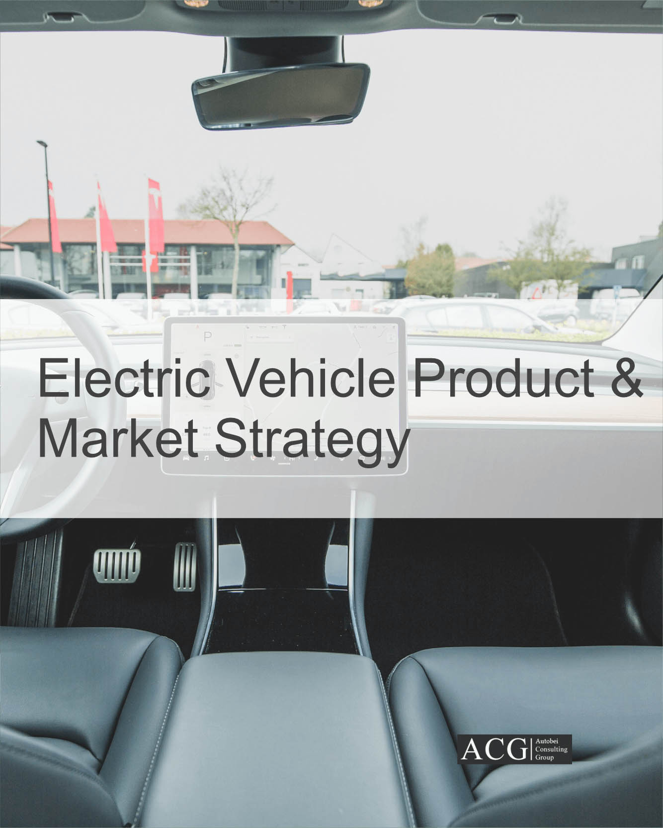 Electric Vehicle Strategy Analysis