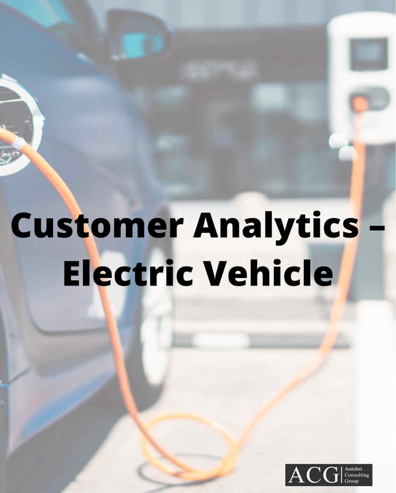 Customer Analytics – Electric Vehicle