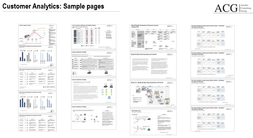 Electric Vehicle Customer Analytics