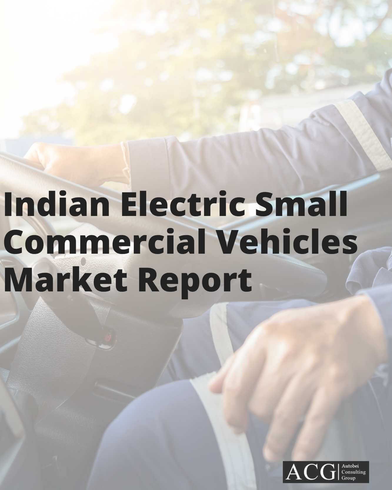 Indian Electric Small Commercial Vehicles Market Analysis