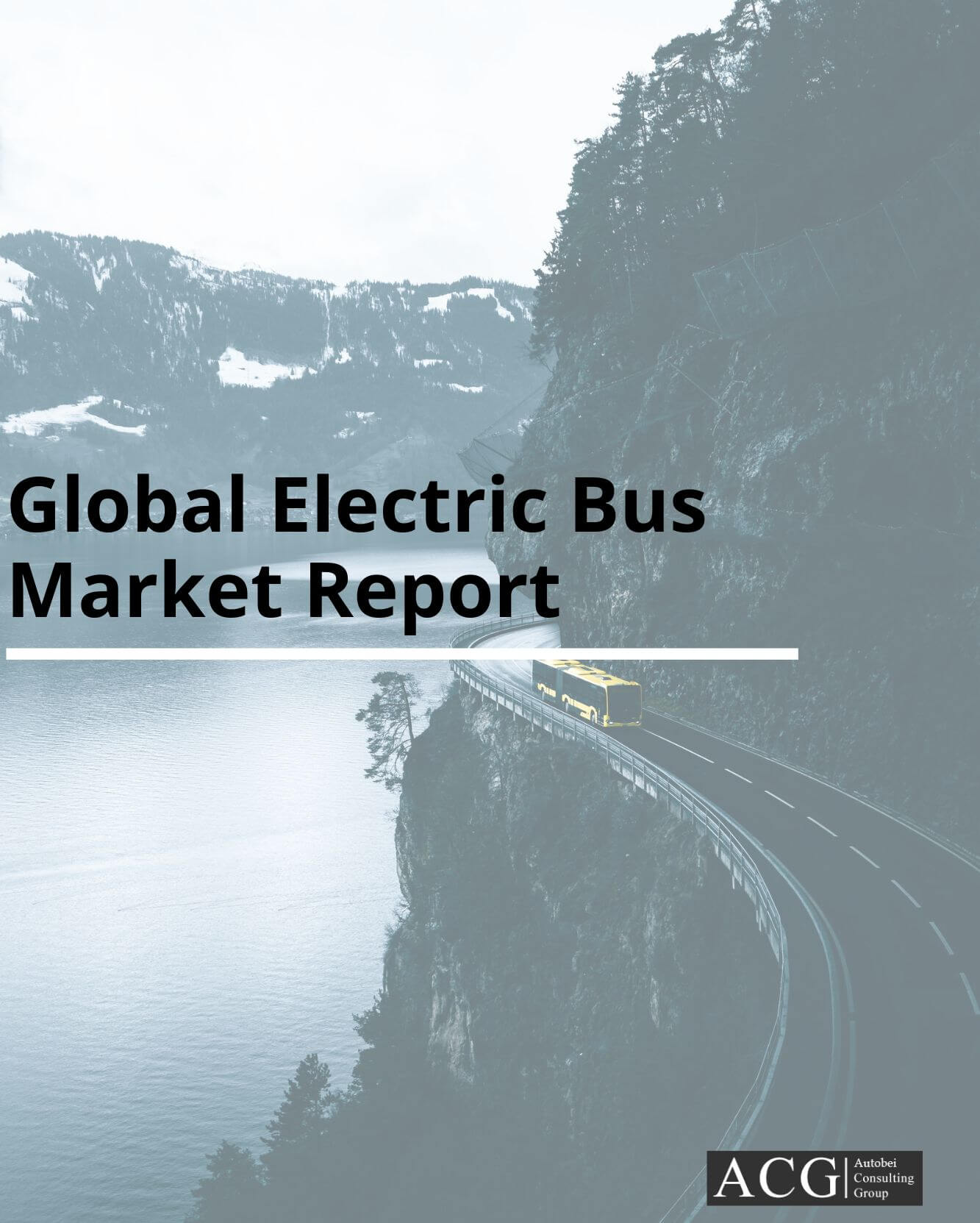 Global electric bus Market Report