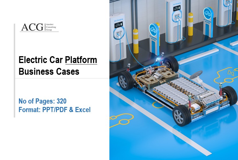Global Electric Car Business Case