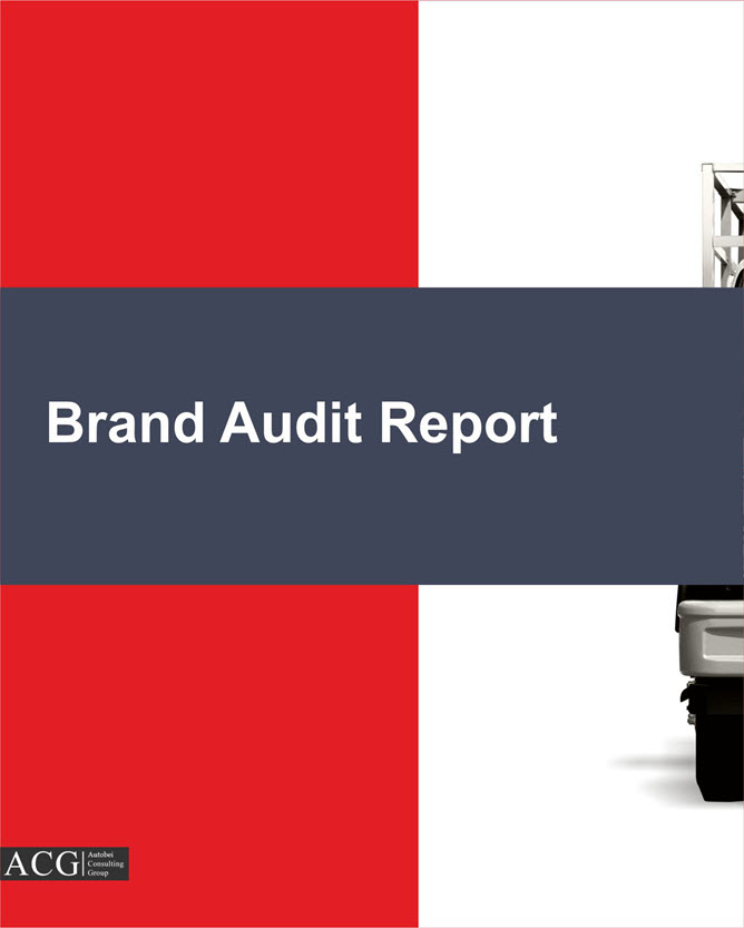 Brand Audit Report