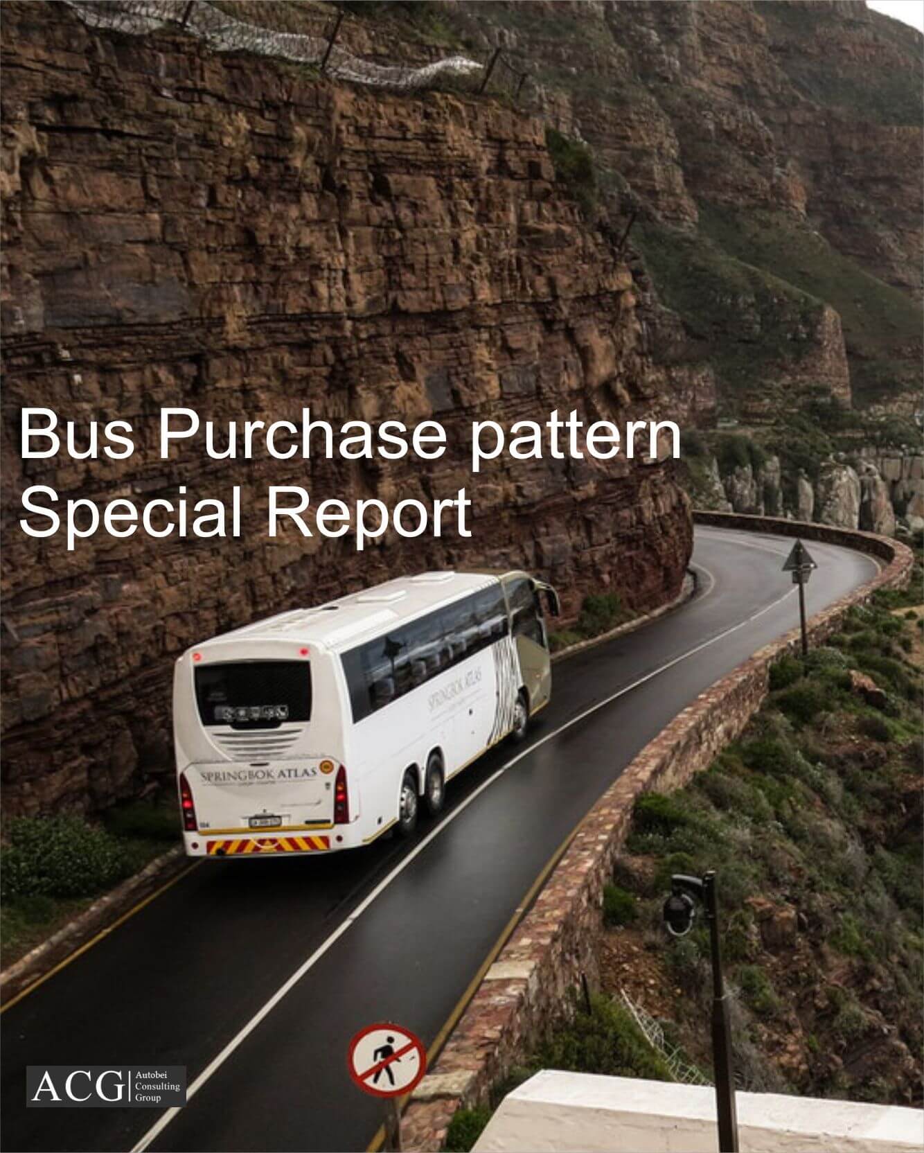 Bus Purchase pattern Report of Indian Market