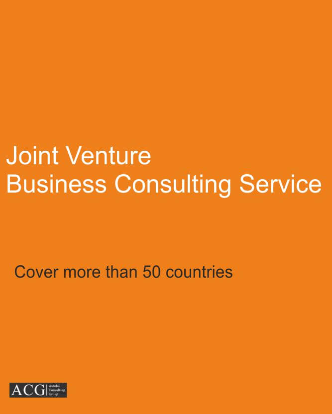 Joint Venture Business Consulting Service